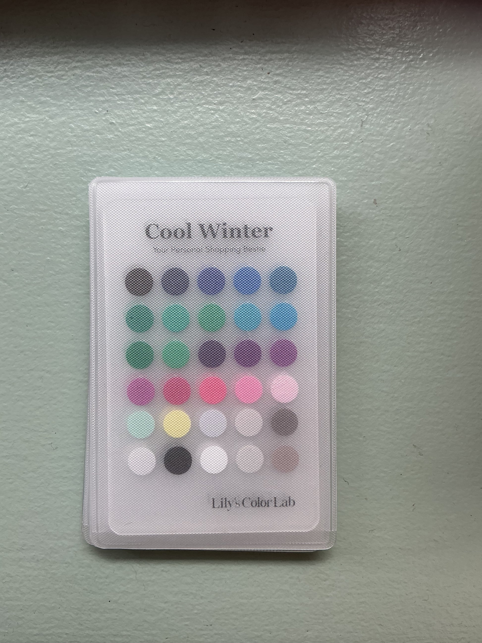 Lily's Color Lab Color Card, Cool Winter, SoHo – Lily's Color Lab