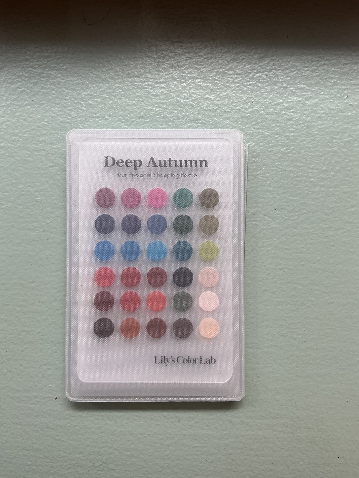 Color Card, Dark Autumn, SoHo