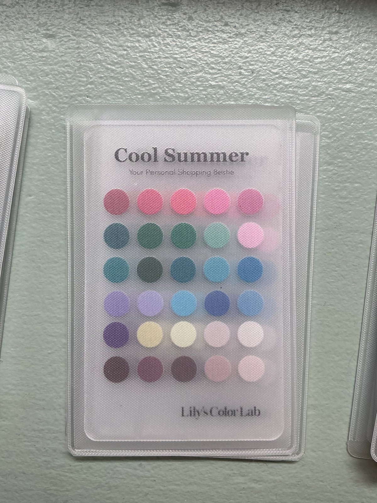 Lily's Color Lab Color Card, True Summer, Soho – Lily's Color Lab