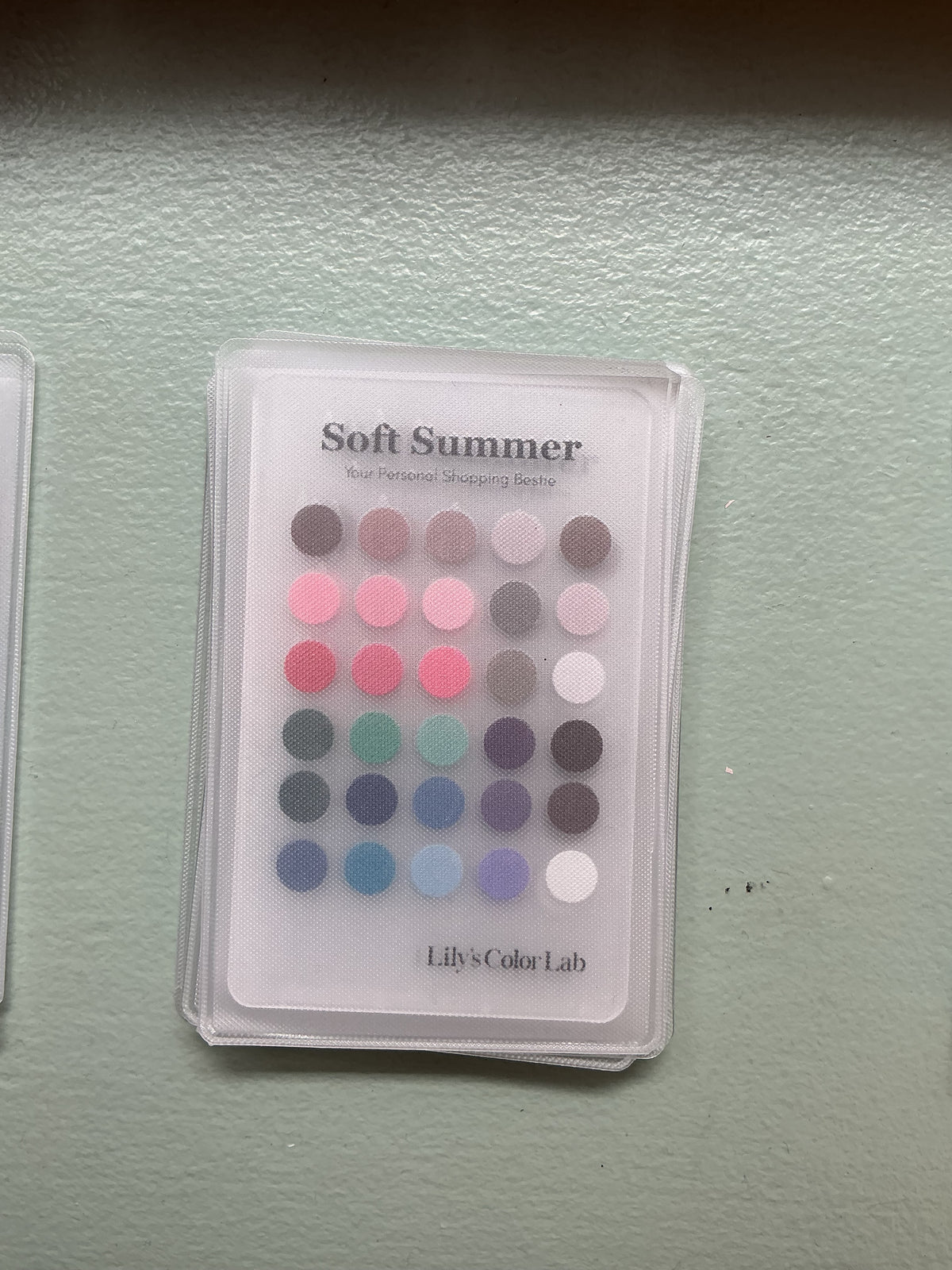 Lily's Color Lab Color Card, Soft Summer, Soho – Lily's Color Lab