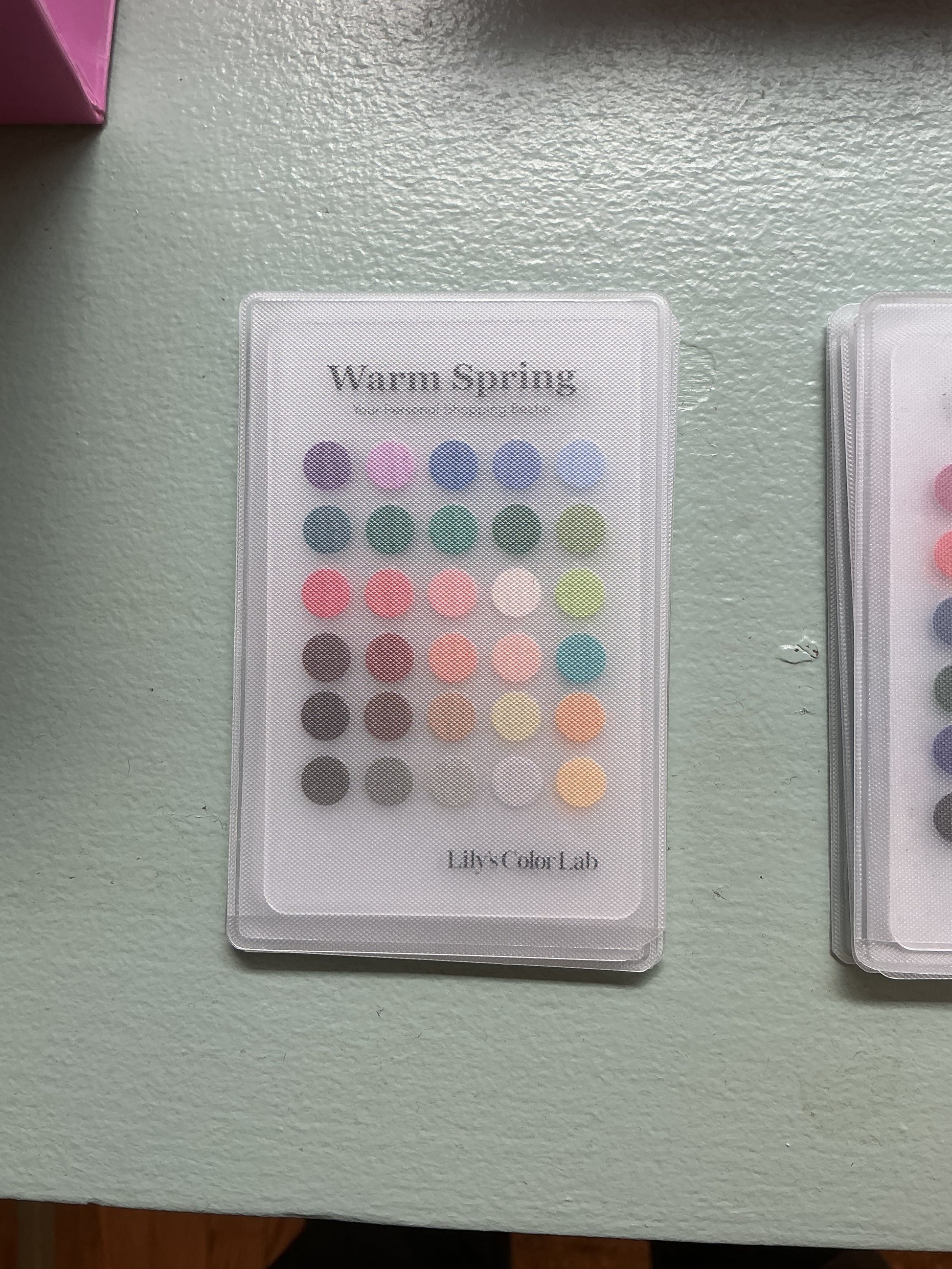 Lily's Color Lab Color Card, Warm Spring, Soho – Lily's Color Lab