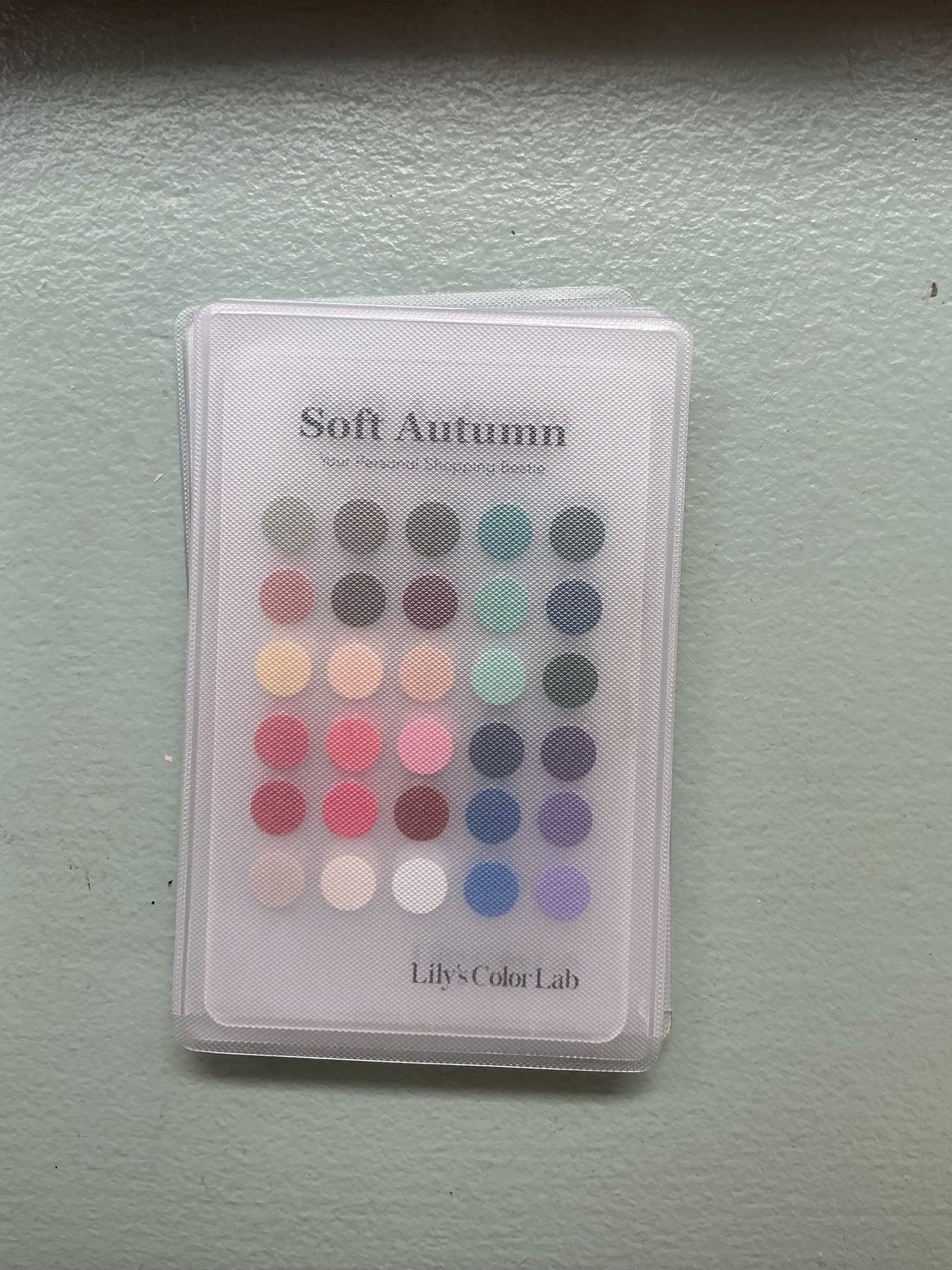 Color Card, Soft Autumn, SoHo