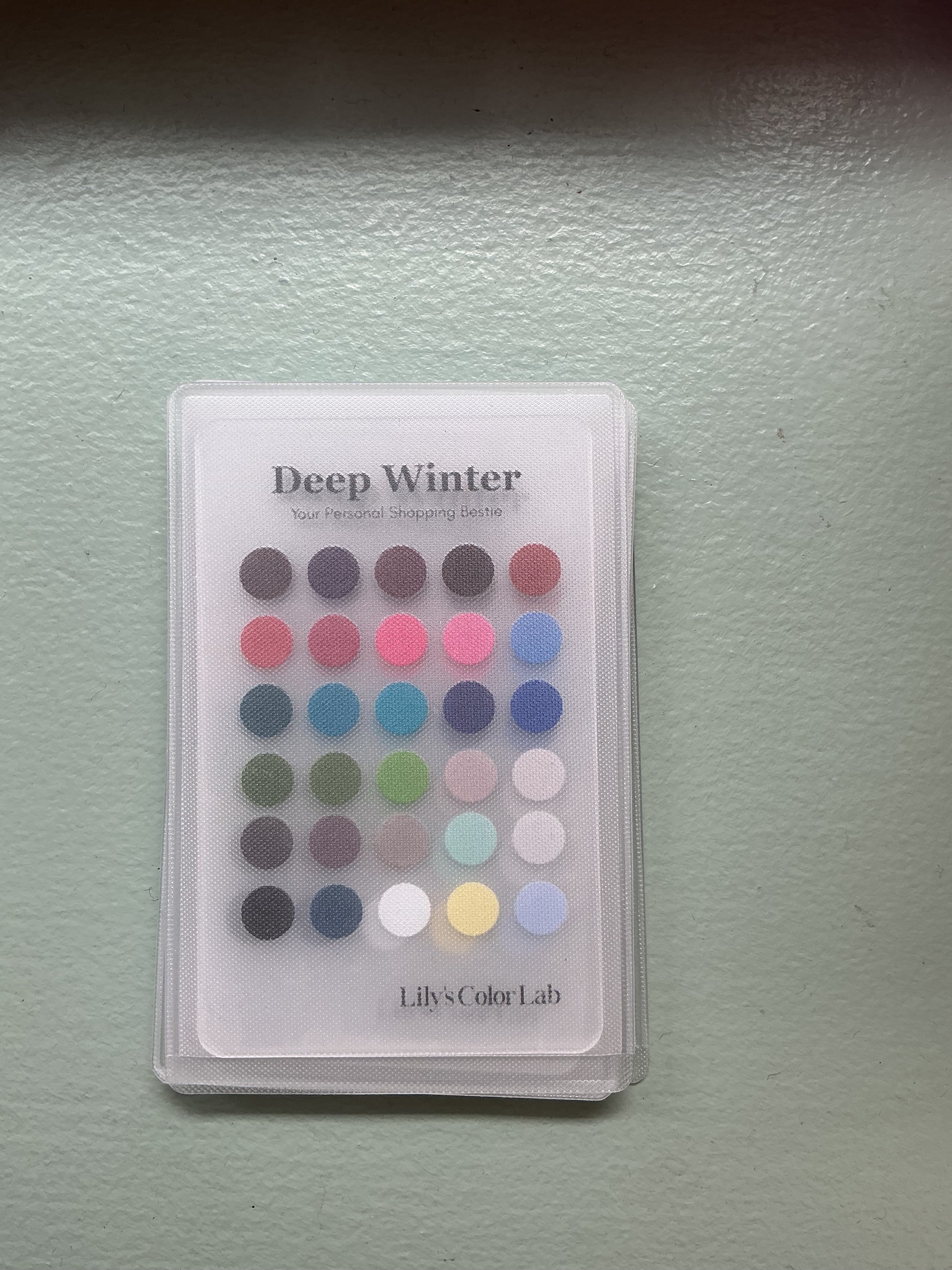 Lily's Color Lab Color Card, Dark Winter, Soho – Lily's Color Lab